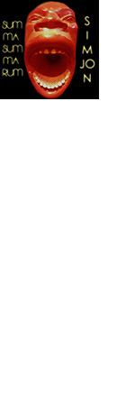 Summa Summarum 2015